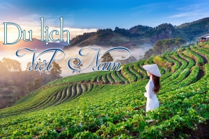 Chiêm ngưỡng 10 điểm du lịch đẹp nhất Việt Nam